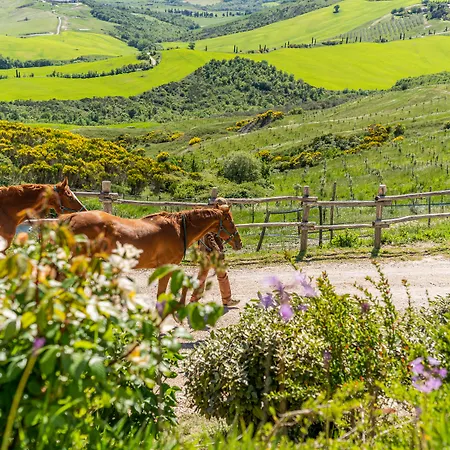 Podere Val D'orcia - Tuscany Equestrian *