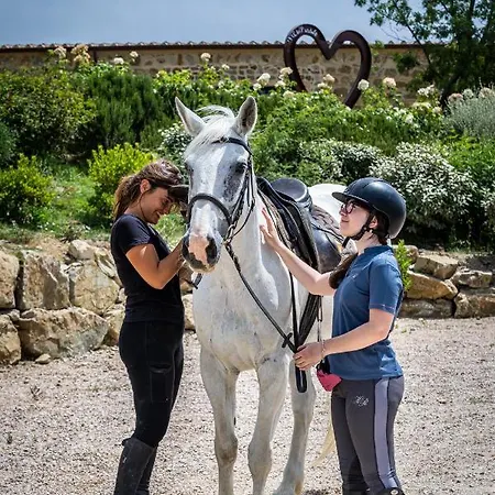 Farm stay Podere Val D'orcia - Tuscany Equestrian
